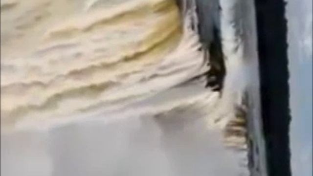 Чудо природы