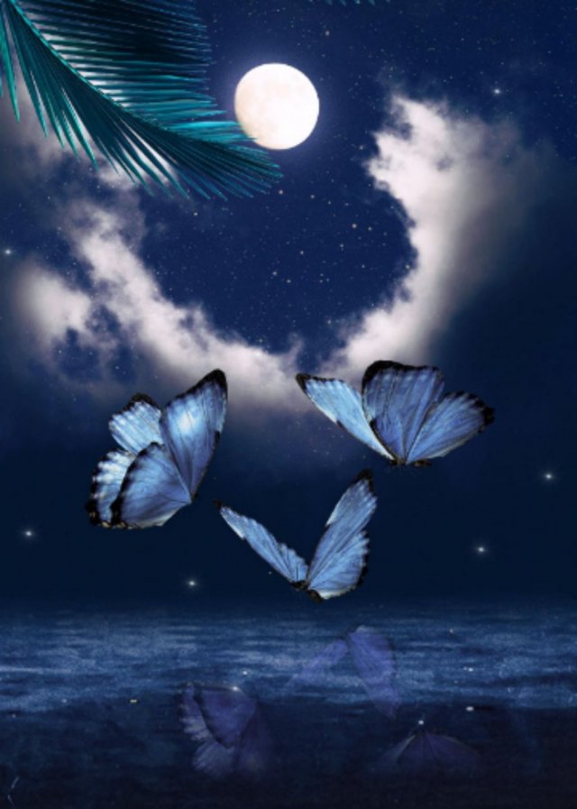 ангела демон.