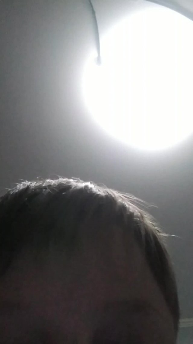 Вторая часть 99 ночей в лесу