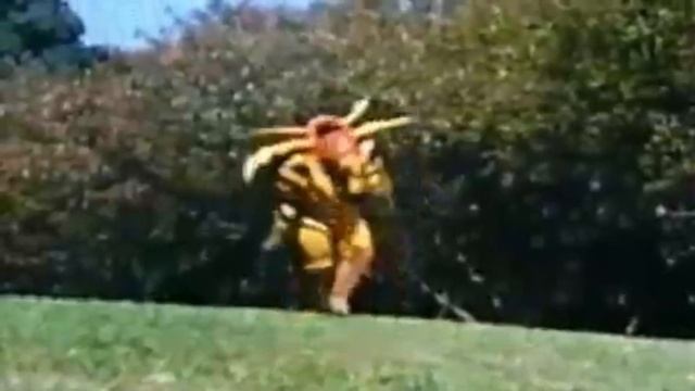 Лучшие сестренки гомают persona 4