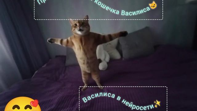 Кошечка Василиса в стиле нейросети✨✨✨ 🐱🐱🐱