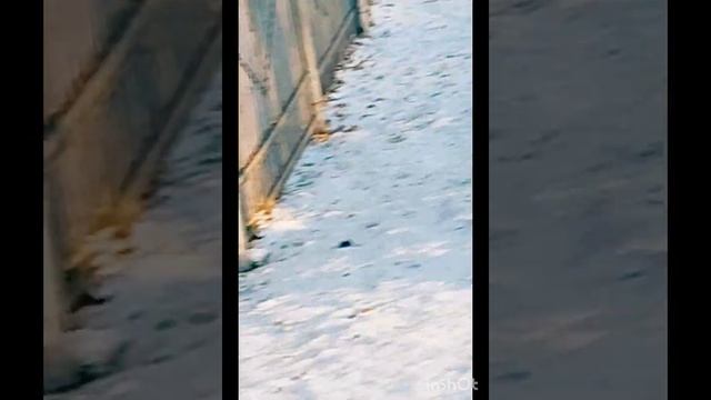 Моя пробежка по парку. Самолёт летит. Лыжники тренируются.