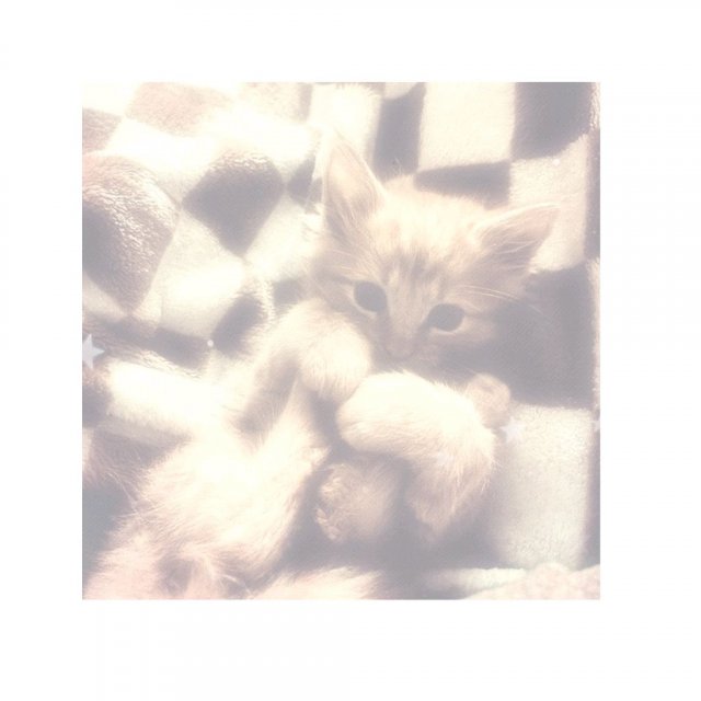 карапузики