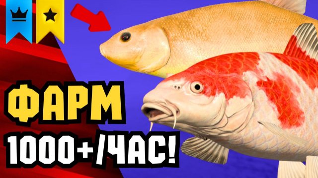 🤑 НОВЫЕ ТОЧКИ ФАРМА РР4! Раздача ТРОФОВ • СТАРЫЙ ОСТРОГ • МЕДНОЕ