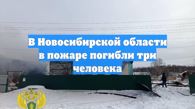 В Новосибирской области в пожаре погибли три человека
