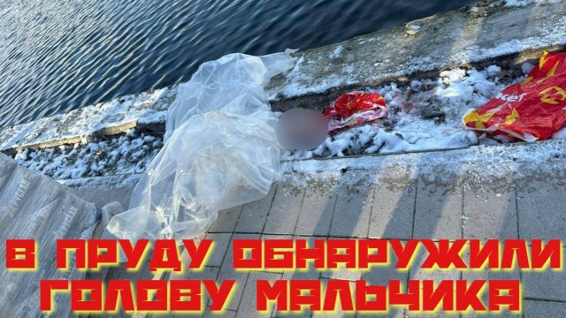 В Гольяновском пруду обнаружили голову мальчика