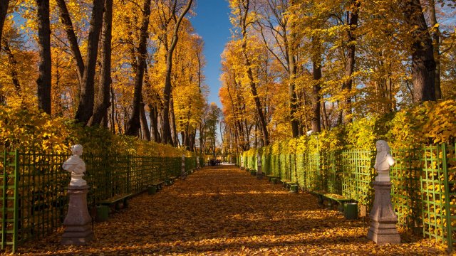 Осень в Летнем саду стихи В. Резанов ; музыка и исполнение А. Михайлов