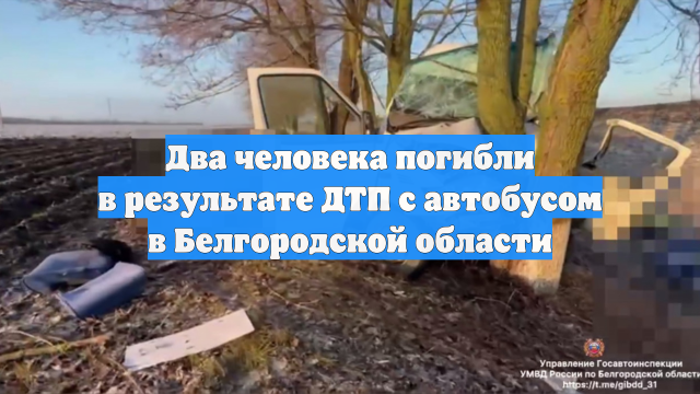 Два человека погибли в результате ДТП с автобусом в Белгородской области
