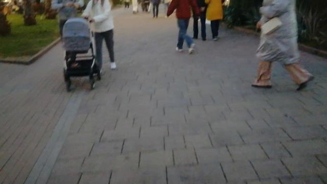 Гуляем по Сочи