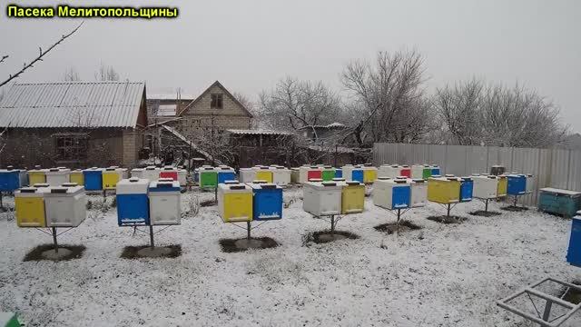 Первый снег на пасеке