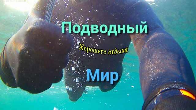 Анапа Подводный мир 16.11.2025