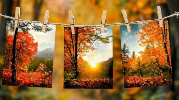 прекрасного доброго дня - красивого хорошего доброго дня