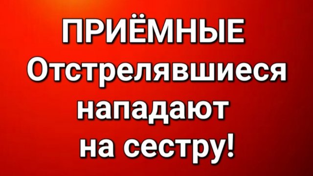 Приёмные/Обзор.