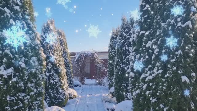 Первый снег 15.11.25г.❄️ Дача.🏡 Где живут наши кошки.🐈