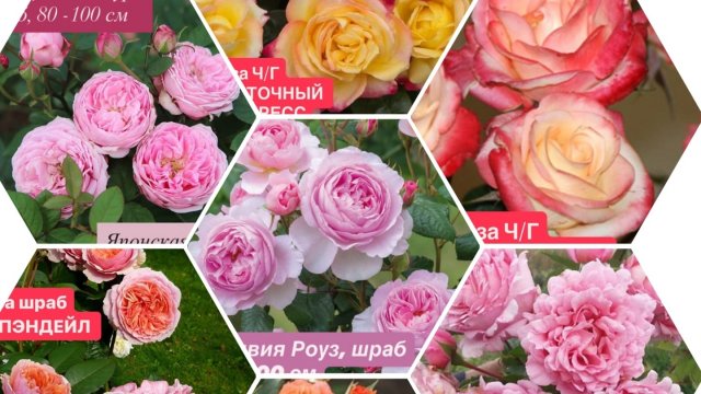 преображение комнаты🤗 много дел🧹