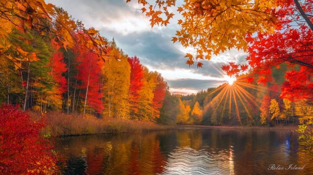 🍂 ОСЕННЯЯ УСПОКАИВАЮЩАЯ МУЗЫКА ДЛЯ СНА В ЛУЧАХ ЗАКАТА 🎵 РАССЛАБЛЯЮЩАЯ МУЗЫКА ДЛЯ ДУШИ СЛУШАТЬ