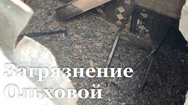 Итоговый репортаж. Загрязнение реки Ольховая