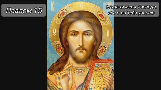 Сильные молитвы на день. Псалом 15. Сохрани мя, Господи, яко на Тя уповах. Слава Богу за всё