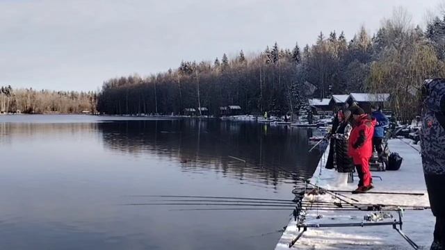 video_2025-11-16_11-17-29