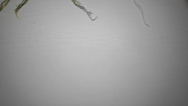 СП "12 месяцев " Отчёт 1/2 Ноябрь 2025