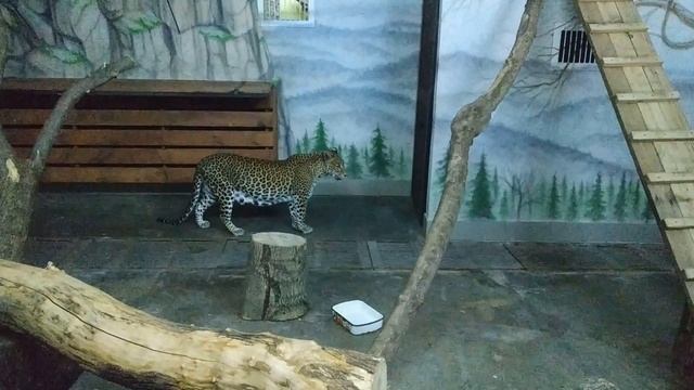 Пензенский Зоопарк (Часть 3)