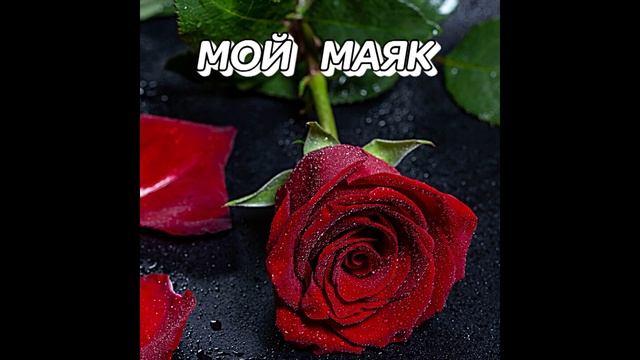 Гравитация - МОЙ МАЯК (KalashnikoFF Mix)