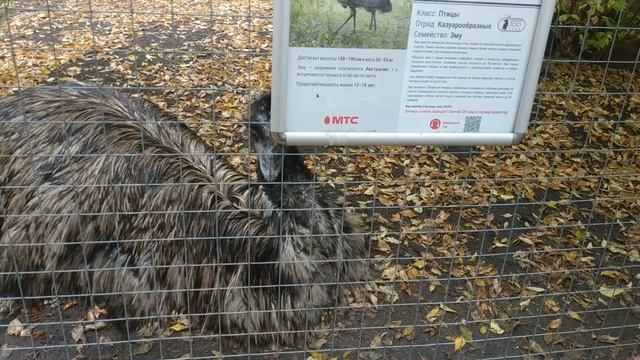 Пензенский Зоопарк (Часть 1)