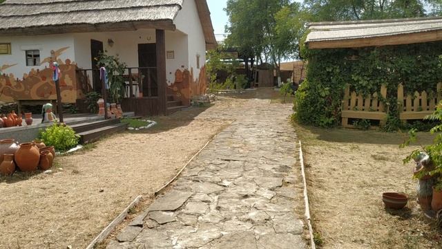 Дворик в Атамани. Кот крепко спит. Тамань