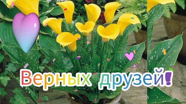 С Днём Рождения!Поздравления от Всей Души!