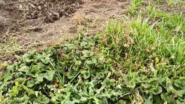 Мы делаем бизнес 😄😄😄