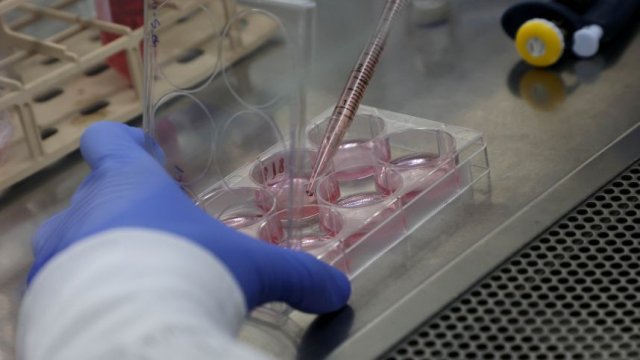 Евгеника и биохакинг: стартап из США обещает генетически модифицированных детей