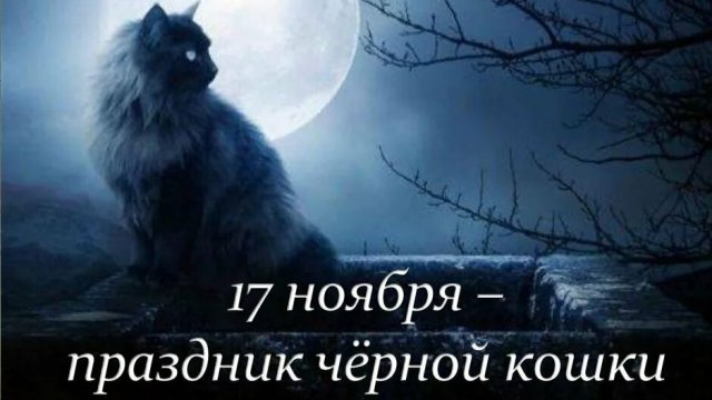 17.11.25 - День защиты чёрных котов/День чёрной кошки