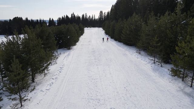 Парк активного отдыха Юго-Горки №15