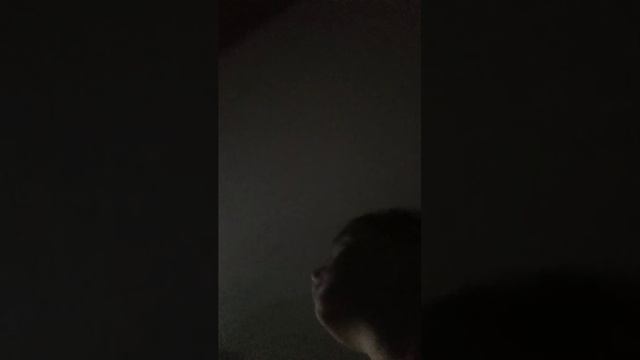 Мы наслаждаемся просмотром Sprunki Incredibox Phase 6!