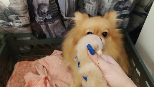 Разговоры, уборка. Начала переделывать ногти