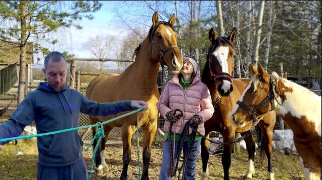 МУЖ НАВОРОТИЛ ДЕЛ В ДЕРЕВНЕ. ПОСЛЕДНИЕ ЗАГОТОВКИ НА ЗИМУ. ВЫПОЛНИЛИ КУЧУ ДЕЛ. ЖИЗНЬ В ДЕРЕВНЕ