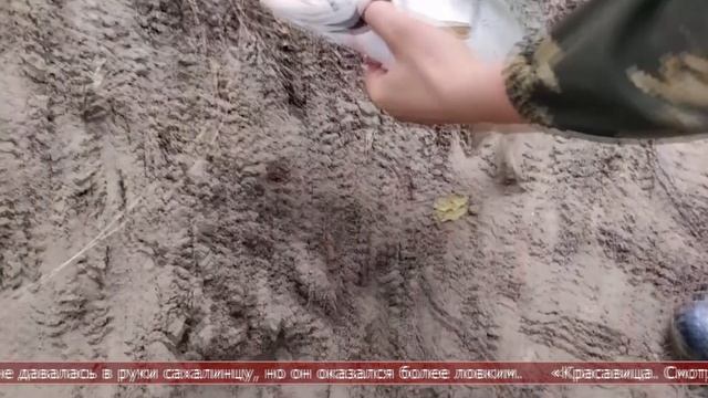 17.11.2025 Сахалинские блоги. ЖИЗНЬ НА САХАЛИНЕ. Рыбалка на удочку горбуша