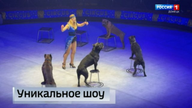 В донецком цирке с успехом проходит новая программа