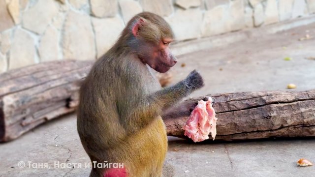 Люся, к МУЖУ иди, а не к МЯСУ! Лиде очень хочется вкуса ОСЕНИ! Елисей переживает за молодку!