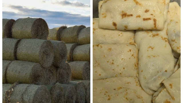 Нажарила блинов 🥞, а с чем? Очень вкусные! 😋