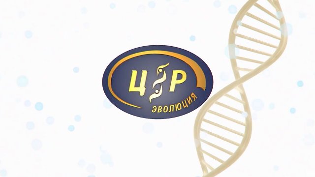 История компании "ПЛАНЕТА РЕГИОНОВ" 2008-2015