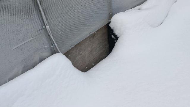 Наготовила🤭  Снегопады каждый день, заметает нас 😊❄🌨