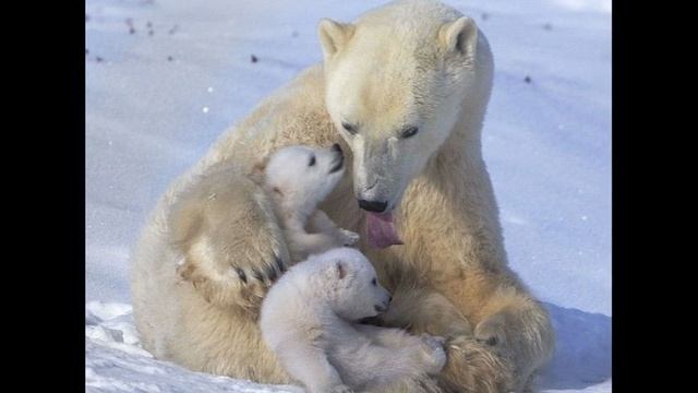 маме от дочери