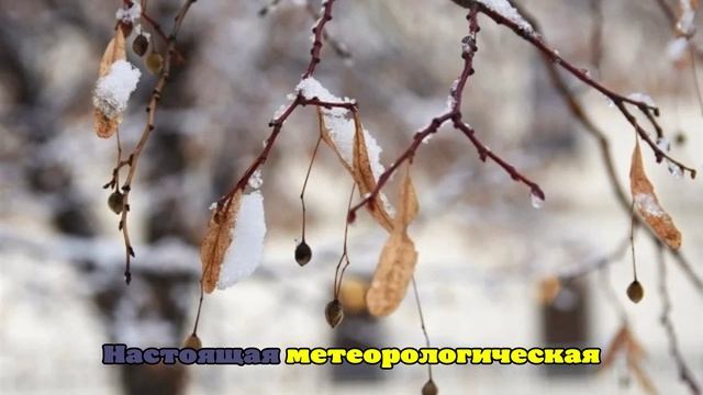 Синоптик Ильин предупредил о надвигающемся на Москву мощном снежном циклоне