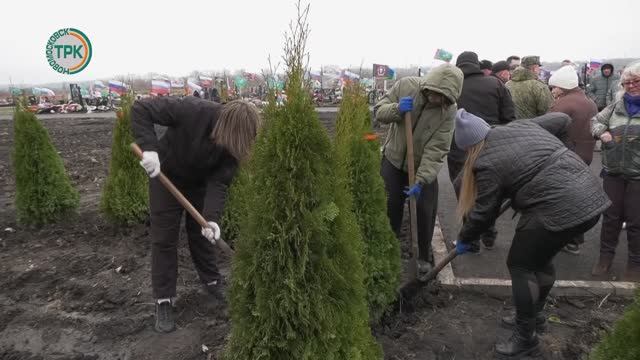 На городском кладбище в Аллее героев высажено 80 туй, в память о погибших бойцах СВО