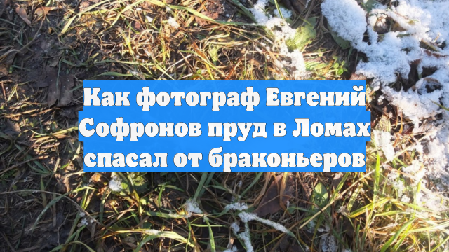 Как фотограф Евгений Софронов пруд в Ломах спасал от браконьеров