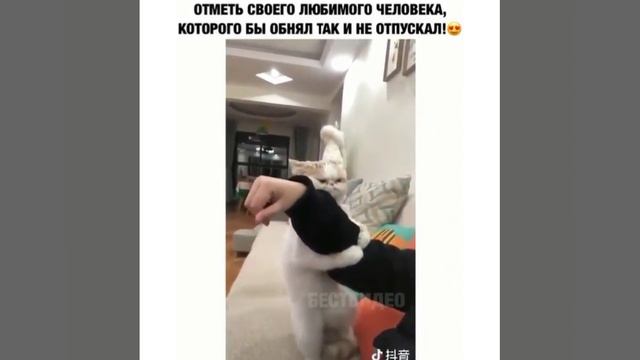 #приколы #видеоприколы #юмор #ржака