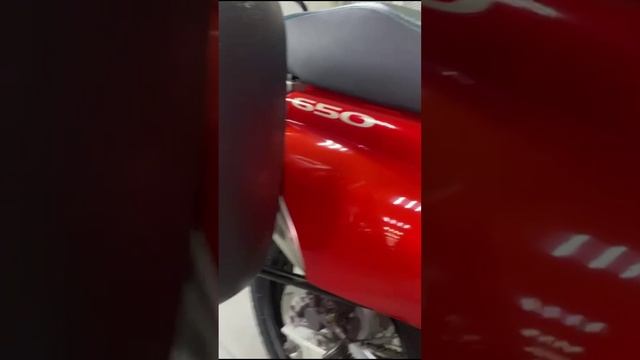 SUZUKI XF650 (1997) зеленый , красный