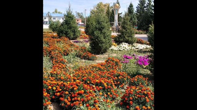 Моё село...Самарское...mp4