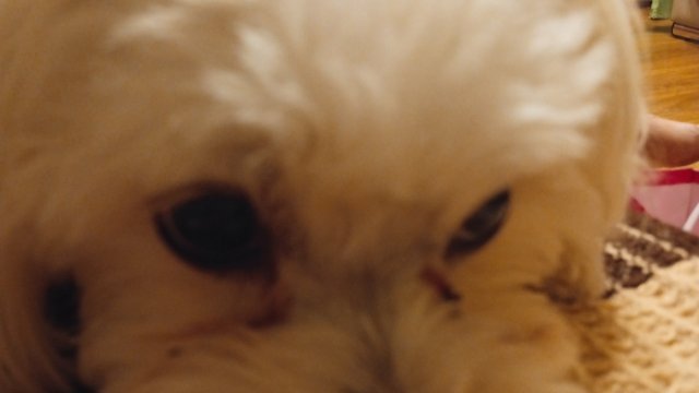 поделки из бумаги 4